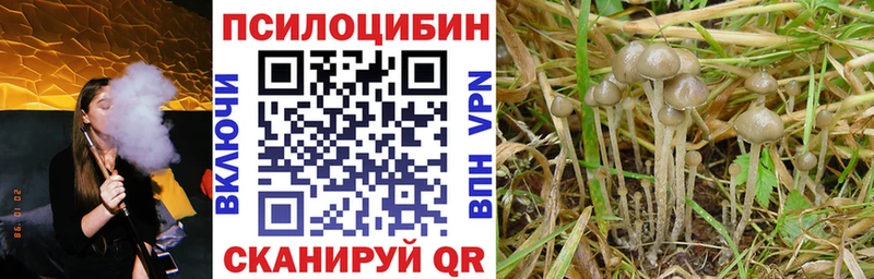закладка  omg вход  Псилоцибиновые грибы Psilocybine cubensis  Комсомольск 